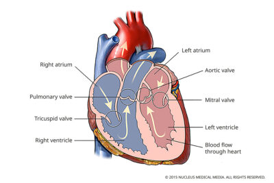 Türkiye'de Kalp Kapak Ameliyatı