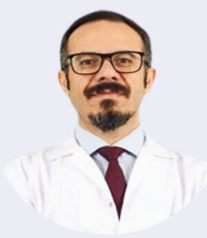 Prof. Dr. Birol YILDIZ