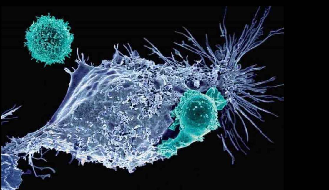 Türkiye'de Hücresel Tedaviler