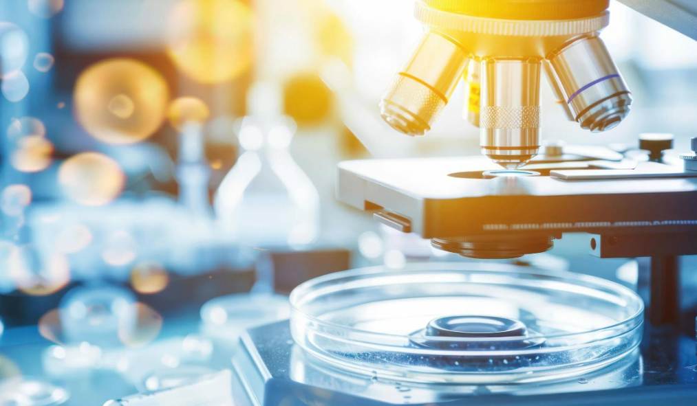 Türkiye'de Kök Hücre Tedavisi ile Hücresel Yenilenme